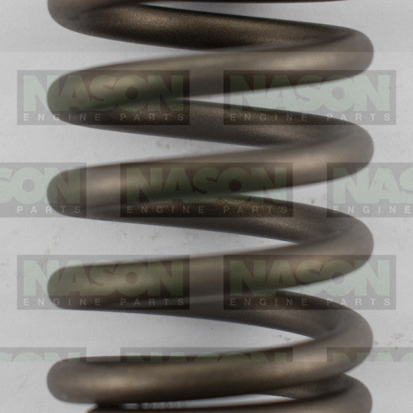 Valve Spring TOYOTA VALVE SPRING VS1000 - NASON