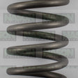 Valve Spring NISSAN ZD30DDTI VS1019 - NASON