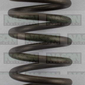Valve Spring NISSAN Z22 Z24 TB42 OUTER VS1021 - NASON