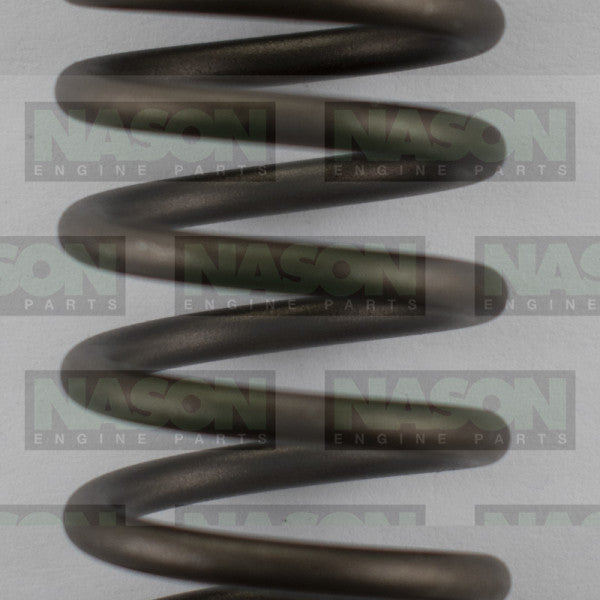 Valve Spring NISSAN Z22 Z24 TB42 OUTER VS1021 - NASON