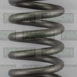 Valve Spring HYUNDAI KIA D4CB VS1025 - NASON