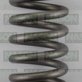 Valve Spring HYUNDAI KIA D4CB VS1025 - NASON