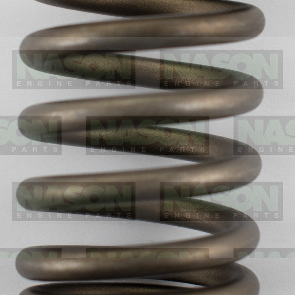 Valve Spring HOLDEN ISUZU 4ZD1 4ZE1 G6 VS1026 - NASON