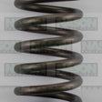 Valve Spring NISSAN TB48 VS1046 - NASON