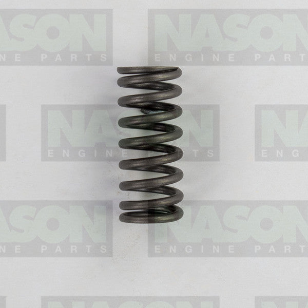 Valve Spring NISSAN M9R DOHC 16V VS1059 - NASON