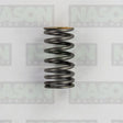 Valve Spring HYUNDAI G4KD G4KE G4KG VS1060 - NASON