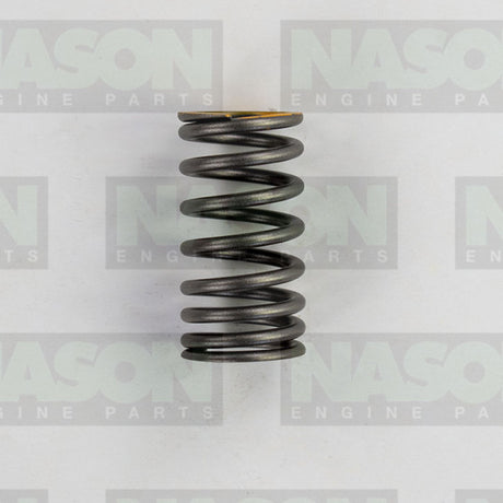 Valve Spring HYUNDAI G4KD G4KE G4KG VS1060 - Nason