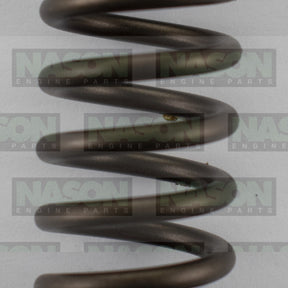 Valve Spring FORD P4AT P5AT 2.2 TRANSIT VS1064 - NASON