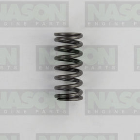 Valve Spring HYUNDAI D4HA D4HB VS1075 - NASON