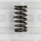 Valve Spring TOYOTA 2AR-FE VS1079 - Nason