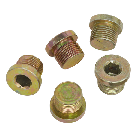 5 Pieces Sump Plug Repair Kit Replacement Plug M17 x 1.50 Suits PT10252 - PKTool | Universal Auto Spares