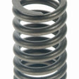 Valve Spring SUZUKI G13A SOHC VS970 - SEALED POWER