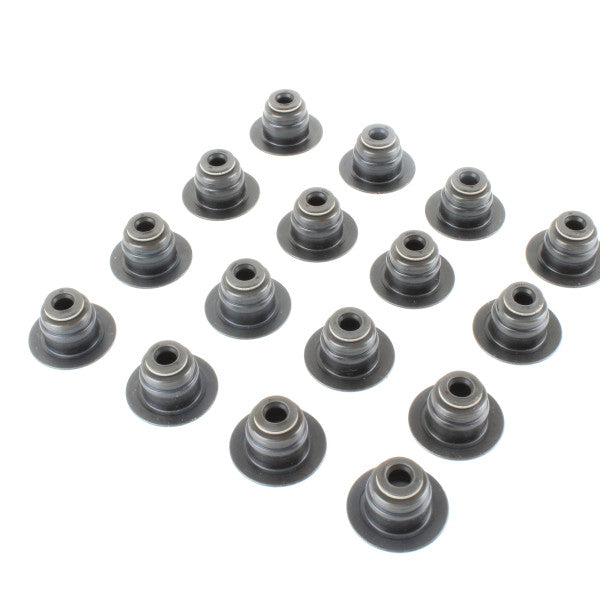 Valve Stem Seal Set FORD 4.6 & 5.4 DOHC VSS0315-16 - PERMASEAL