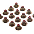 Valve Stem Seal Set SAAB B207R B207L B207E DOHC 16 VSS0320-16 - PERMASEAL