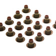 Valve Stem Seal Set HOLDEN Z18XER F18D4 DOHC 16V VSS0349-16 - PERMASEAL