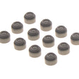Valve Stem Seal Set Subaru EZ30R EZ36D DOHC 24V VSS0393-12 - PERMASEAL