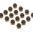 Valve Stem Seal Set Nissan M9R YS23 DOHC 16V VSS0397-16 - PERMASEAL