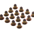 Valve Stem Seal Set HOLDEN B12D1 DOHC 16V FI VSS0405-16 - PERMASEAL
