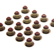 Valve Stem Seal Set HOLDEN Z20D1 DOHC 16V TURBO VSS0406-16 - PERMASEAL