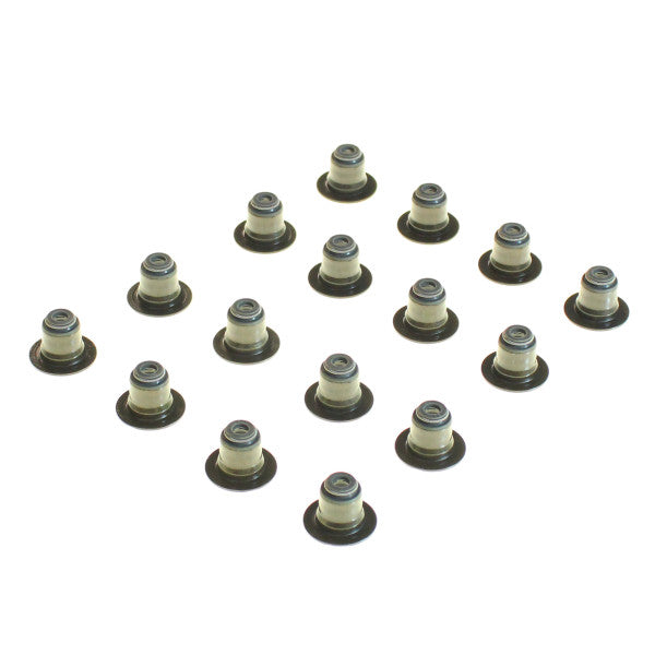 Valve Stem Seal Set KIA/HYUNDAI D4FB VSS0419-16 - PERMASEAL