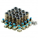LS Dual Vale Spring Kit VTKLS9 - Austral | Universal Auto Spares