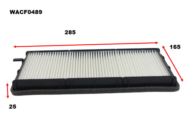 Cabin Filter RCA121P Fits BMW WACF0489 - Wesfil