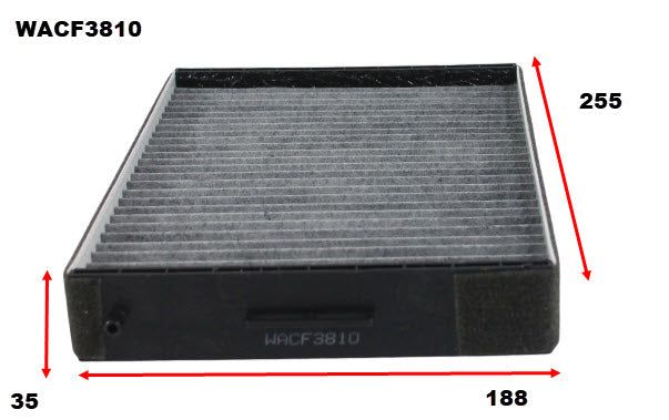 Cabin Filter RCA106P Fits Hyundai WACF3810 - Wesfil