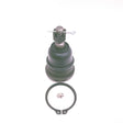 Ball Joint Lower Right Side/Left Side WBJ15016 - WASP | Universal Auto Spares