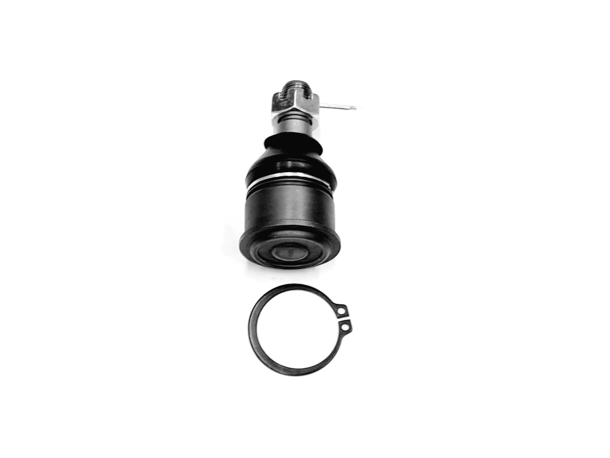 Ball Joint Lower Right Side WBJ35038 - WASP | Universal Auto Spares