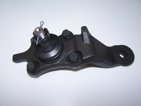 Ball Joint Lower Right Side WBJ3802R - WASP | Universal Auto Spares