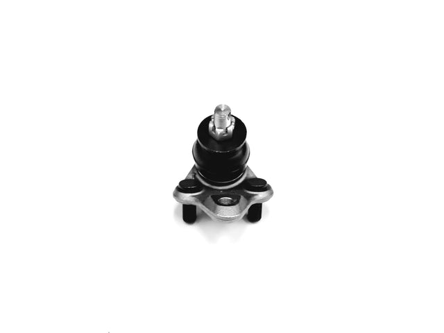 Ball Joint Front Lower Right Side/Left Side WBJ59562 - WASP | Universal Auto Spares