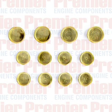 Welch Plug Kit HOLDEN 2.5L 2.8L DIESEL WPEK484 - Premier