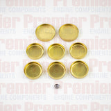 Welch Plug Kit W/P KIT FORD 200 250 CAST IRON WPEK940 - Premier