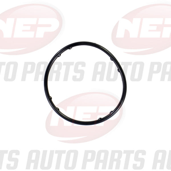 Water Pump WATER PUMP GASKET AUDI VW WPG-6557 - NEP