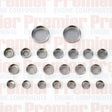 Welch Plug Head Kit W/P KIT ISUZU 4JJ1 EARLY WPHK445 - PREMIER