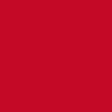 Painter’s Touch Plus Gloss Chile Red Spray - Rust-Oleum