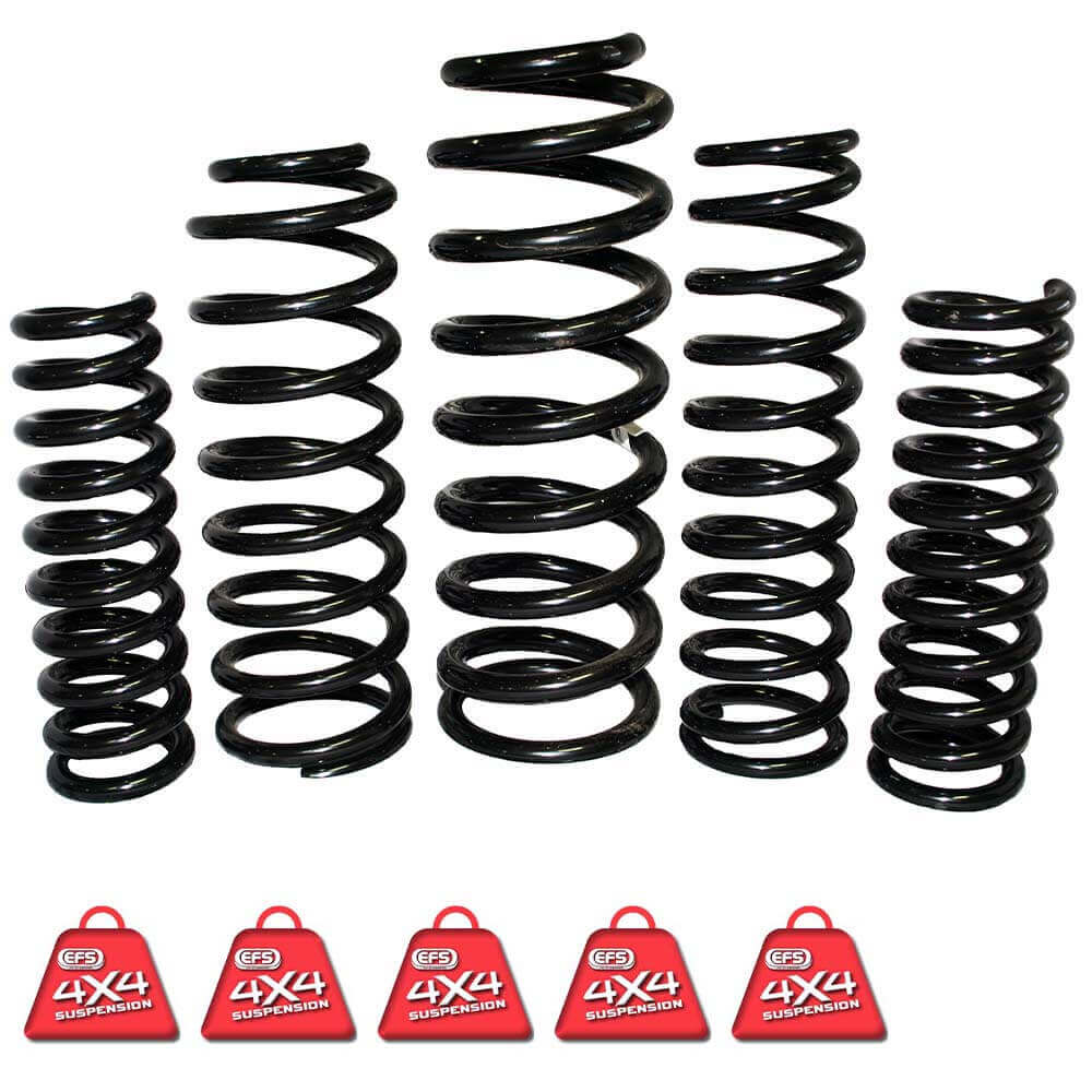 EFS COIL SPRINGS REAR | NIS-114HL5E410X