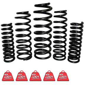 EFS COIL SPRINGS REAR | TLC-113HHDE