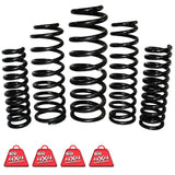 EFS COIL SPRINGS REAR | NIS-111E