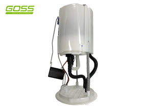 Fuel Pump Module GE596 - Goss