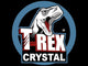 T-Rex Power Crystal Clear 290mL - Soudal