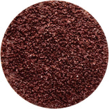 10 Piece 40 Grit Aluminium Oxide Sanding Discs - PKTool | Universal Auto Spares