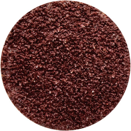 10 Piece 40 Grit Aluminium Oxide Sanding Discs - PKTool