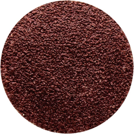 10 Piece 60 Grit Aluminium Oxide Sanding Discs - PKTool