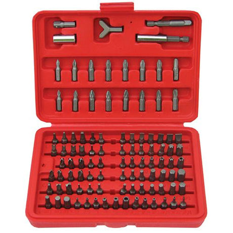 100 Pieces 1/4” Hex DR Combination Screwdriver Bits Set - PKTool | Universal Auto Spares