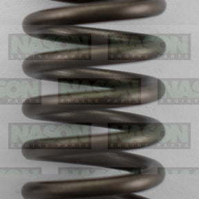 Valve Spring TOYOTA 1HDF-T 1HDF-TE VS1004 - NASON