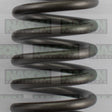 Valve Spring HYUNDAI KIA D4EA D4EB VS1024 - NASON