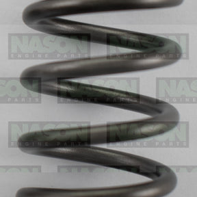 Valve Spring HOLDEN ISUZU 4JJ1T VS1028 - NASON