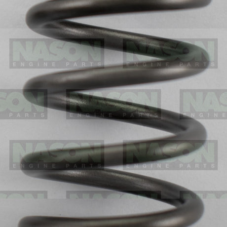 Valve Spring HOLDEN ISUZU 4JJ1T VS1028 - Nason