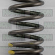 Valve Spring NISSAN KA24DE VS1048 - NASON